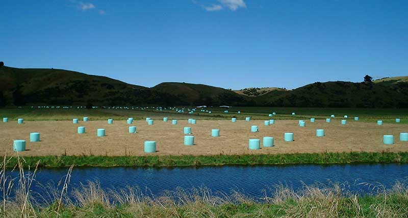 Sea of Hay Bales