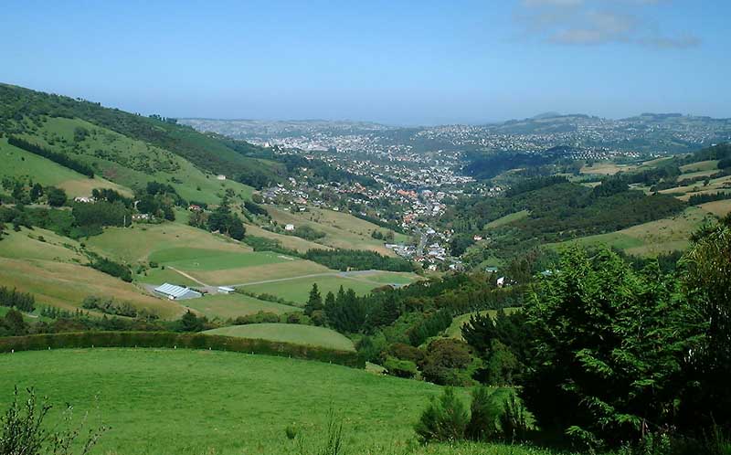 Dunedin View
