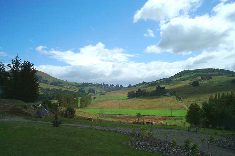 Waikouaiti View